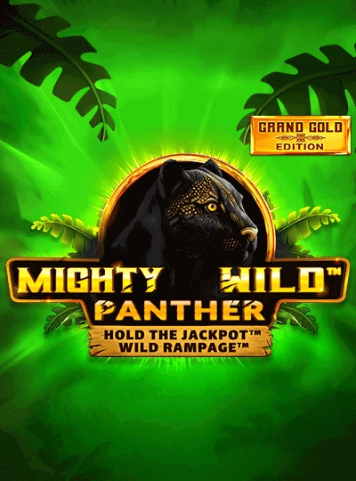 mmr101